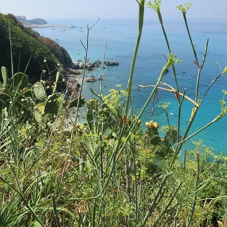 Il Limoneto 2, Casa Vacanze Parghelia-tropea Apartment Parghelia